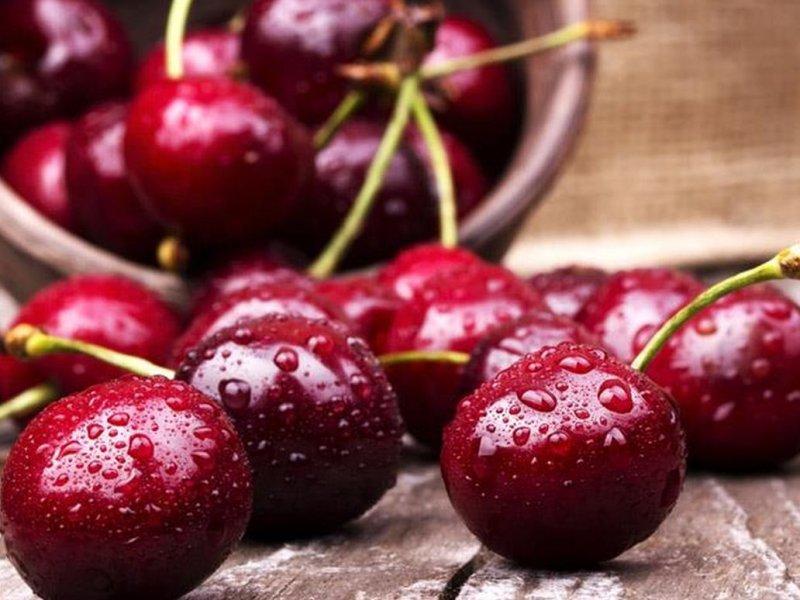 Вишня купить саженцы из питомника в Камышине